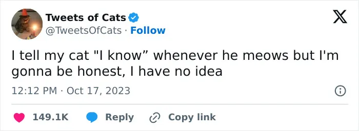 30 Cat And Dog Tweets That Really Could Put A Smile On Your Face, As Shared Online