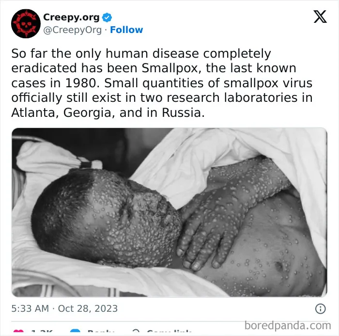 Creepy-Tweets-Stories-Pics