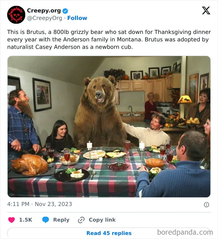 50 Unsettling Posts From ‘Creepy’ To Leave You Questioning Things (New Pics)