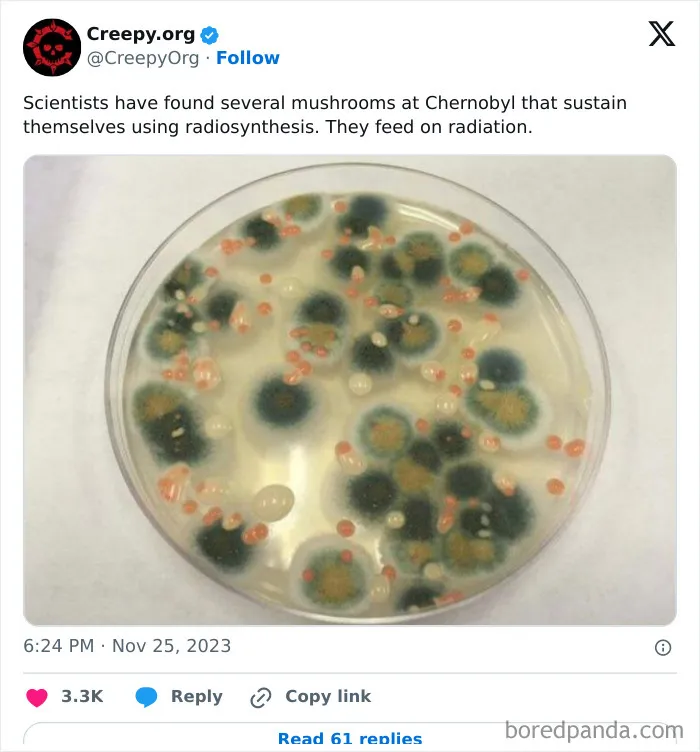 50 Unsettling Posts From ‘Creepy’ To Leave You Questioning Things (New Pics)
