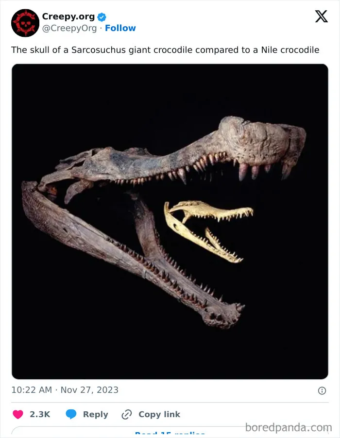 50 Unsettling Posts From ‘Creepy’ To Leave You Questioning Things (New Pics)