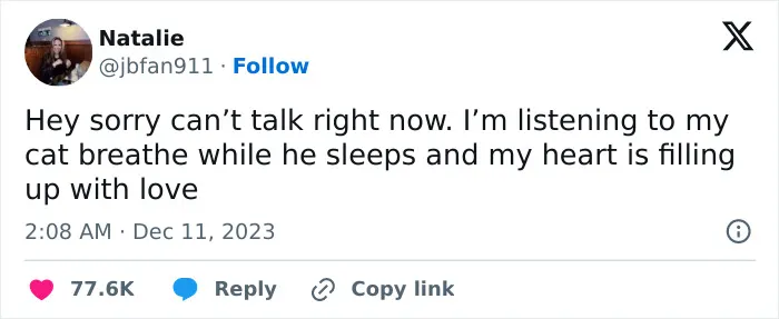 30 Cat And Dog Tweets That Really Could Put A Smile On Your Face, As Shared Online