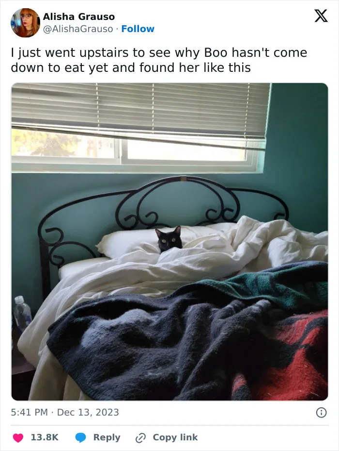 30 Cat And Dog Tweets That Really Could Put A Smile On Your Face, As Shared Online