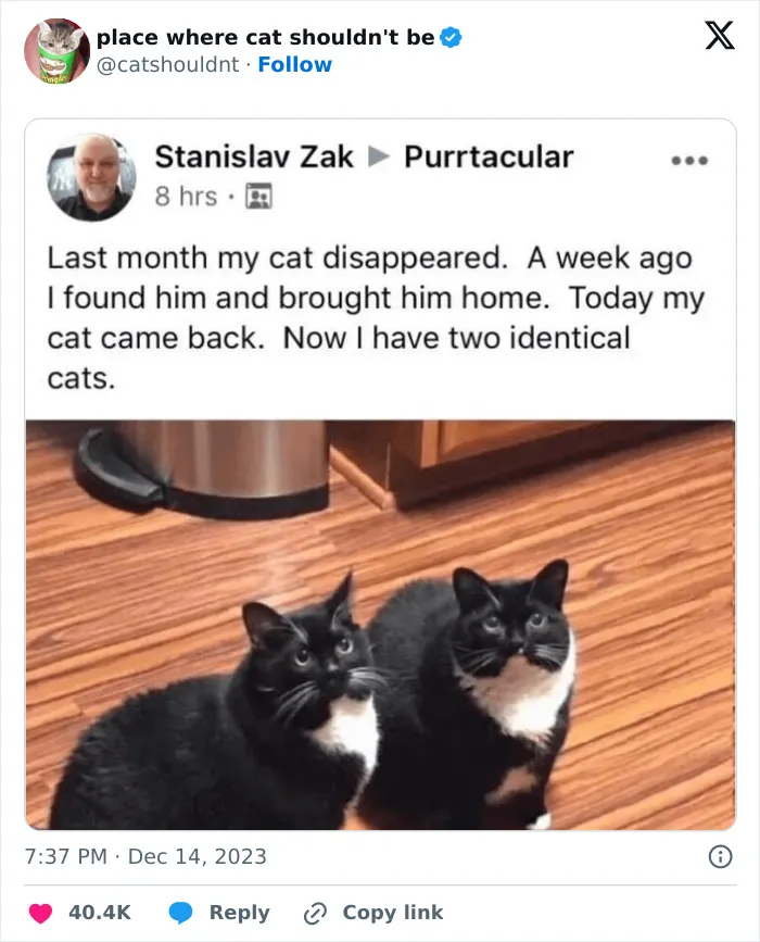 30 Cat And Dog Tweets That Really Could Put A Smile On Your Face, As Shared Online