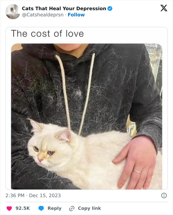 30 Cat And Dog Tweets That Really Could Put A Smile On Your Face, As Shared Online