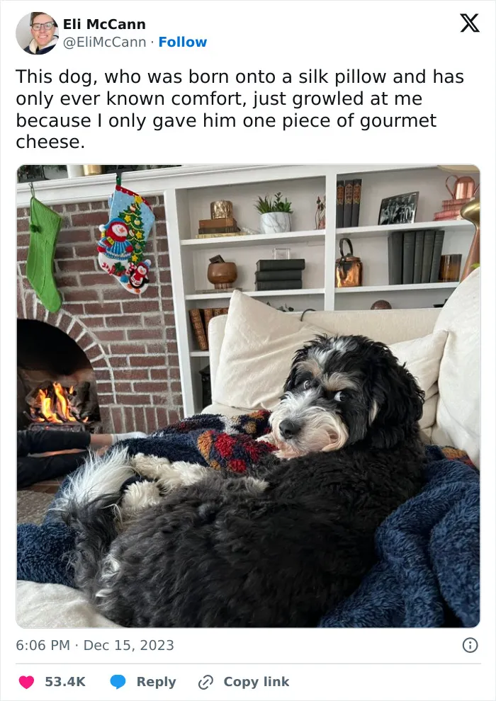 30 Cat And Dog Tweets That Really Could Put A Smile On Your Face, As Shared Online