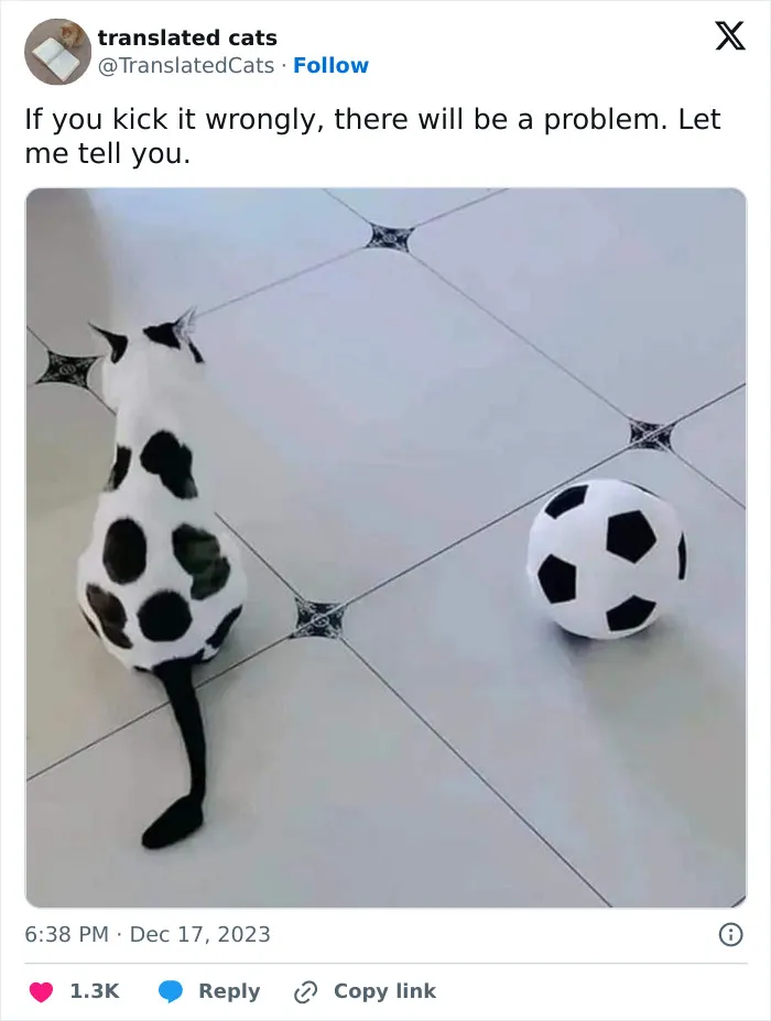 30 Cat And Dog Tweets That Really Could Put A Smile On Your Face, As Shared Online