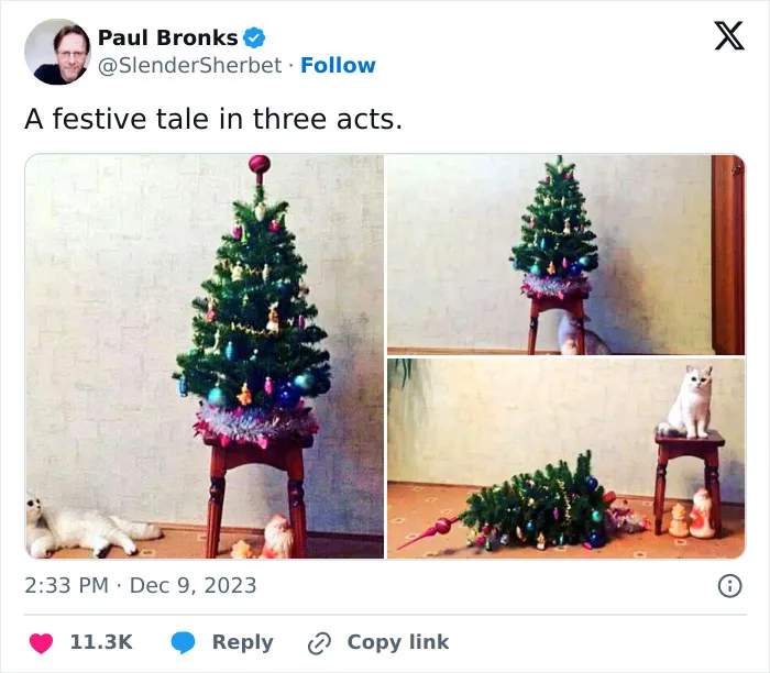 30 Cat And Dog Tweets That Really Could Put A Smile On Your Face, As Shared Online