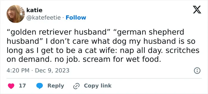 30 Cat And Dog Tweets That Really Could Put A Smile On Your Face, As Shared Online