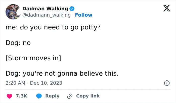 30 Cat And Dog Tweets That Really Could Put A Smile On Your Face, As Shared Online