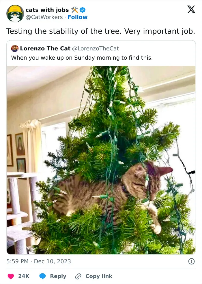 30 Cat And Dog Tweets That Really Could Put A Smile On Your Face, As Shared Online
