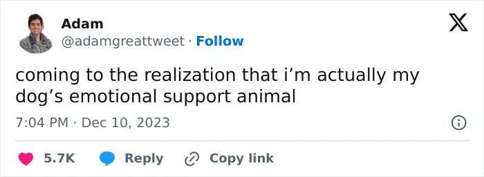 30 Cat And Dog Tweets That Really Could Put A Smile On Your Face, As Shared Online