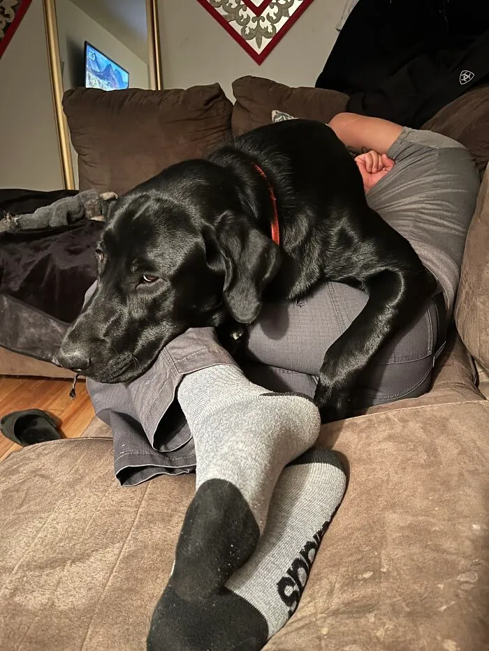 No Personal Space