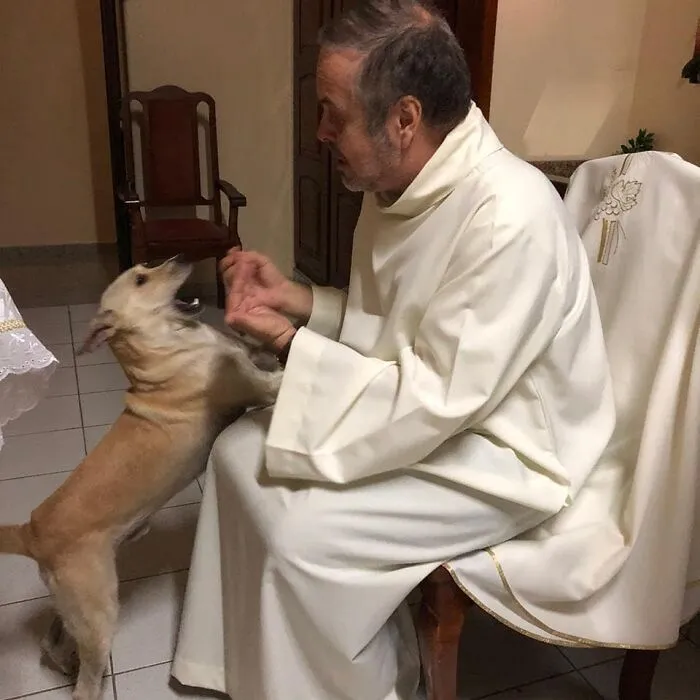 Loving Priest Turns Church Services Into Adoption Fairs For Stray Dogs (21 New Pics)