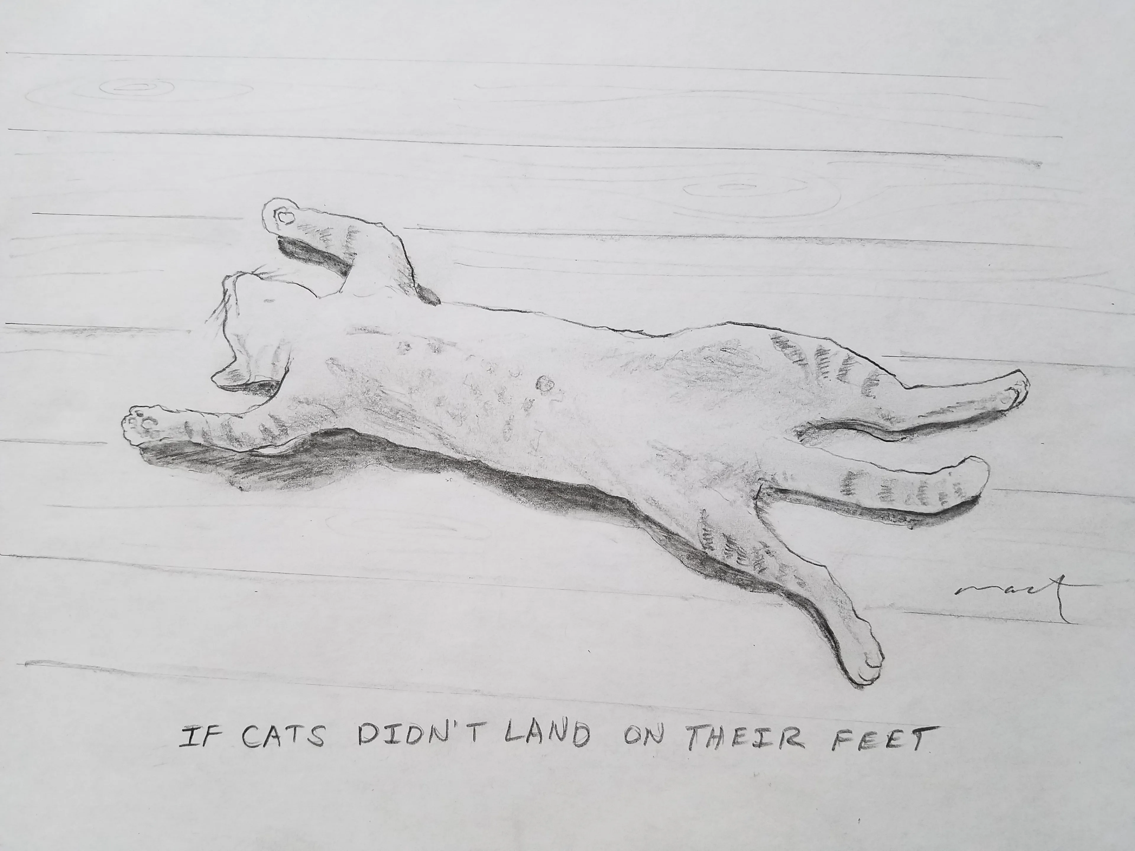 Cats