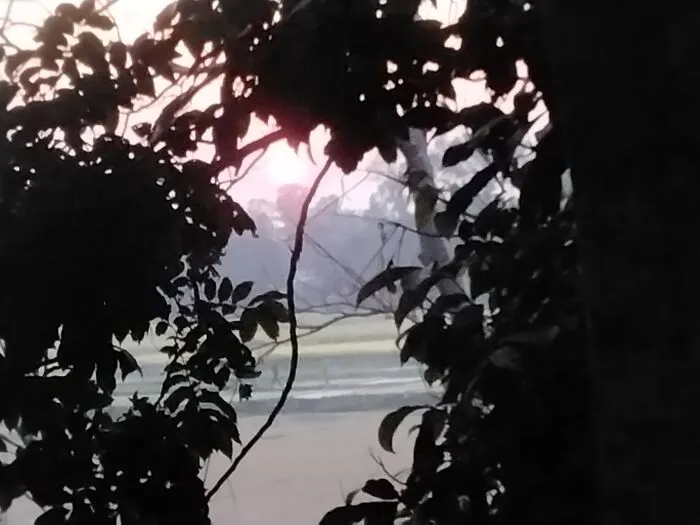 I Took This Picture In The Bangladesh Countryside