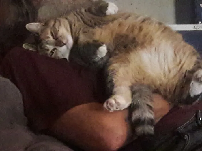 Cuddling With Daddy