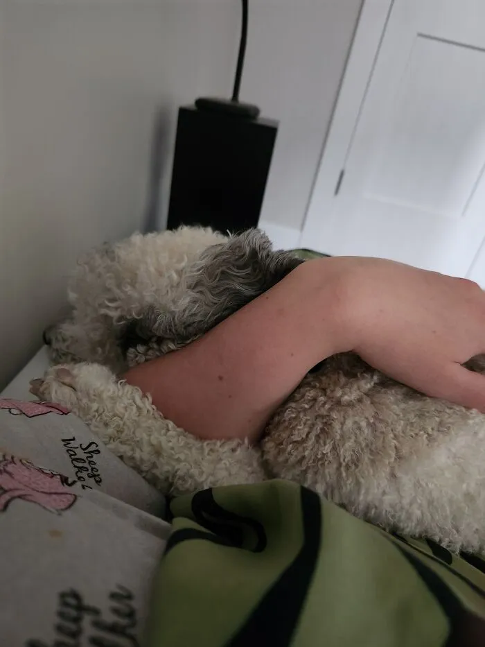 She Likes To Hold My Arm When She Takes A Nap