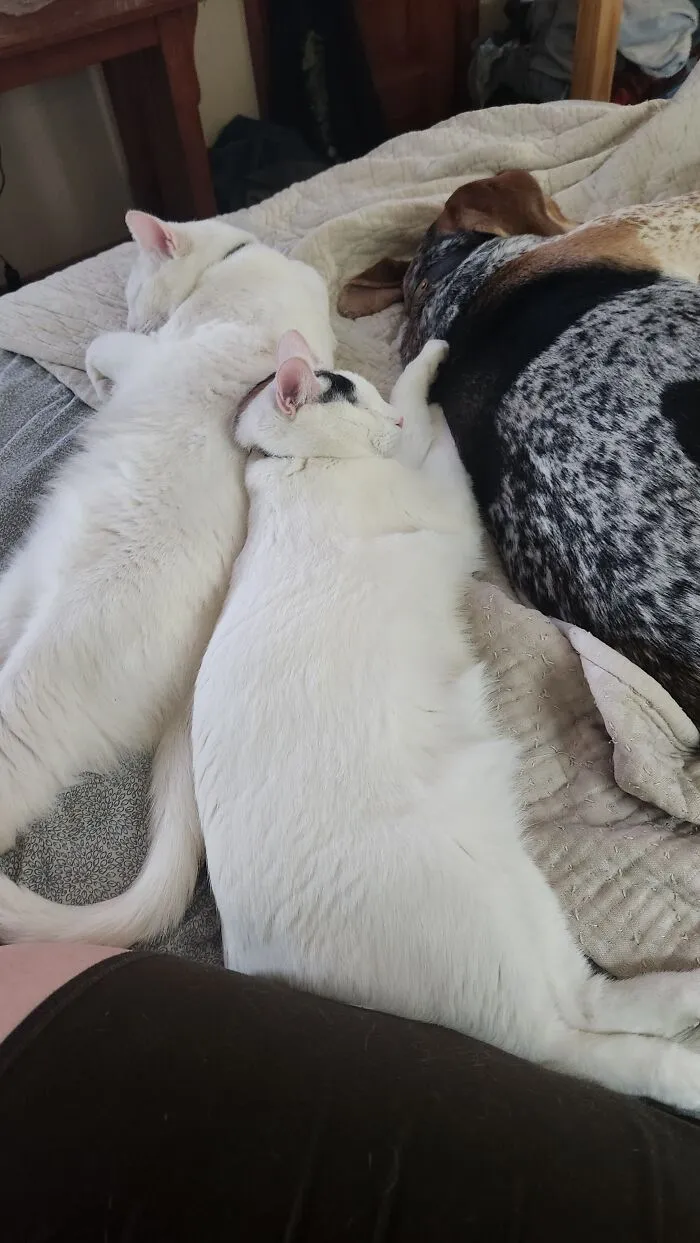 Brothers And Sister