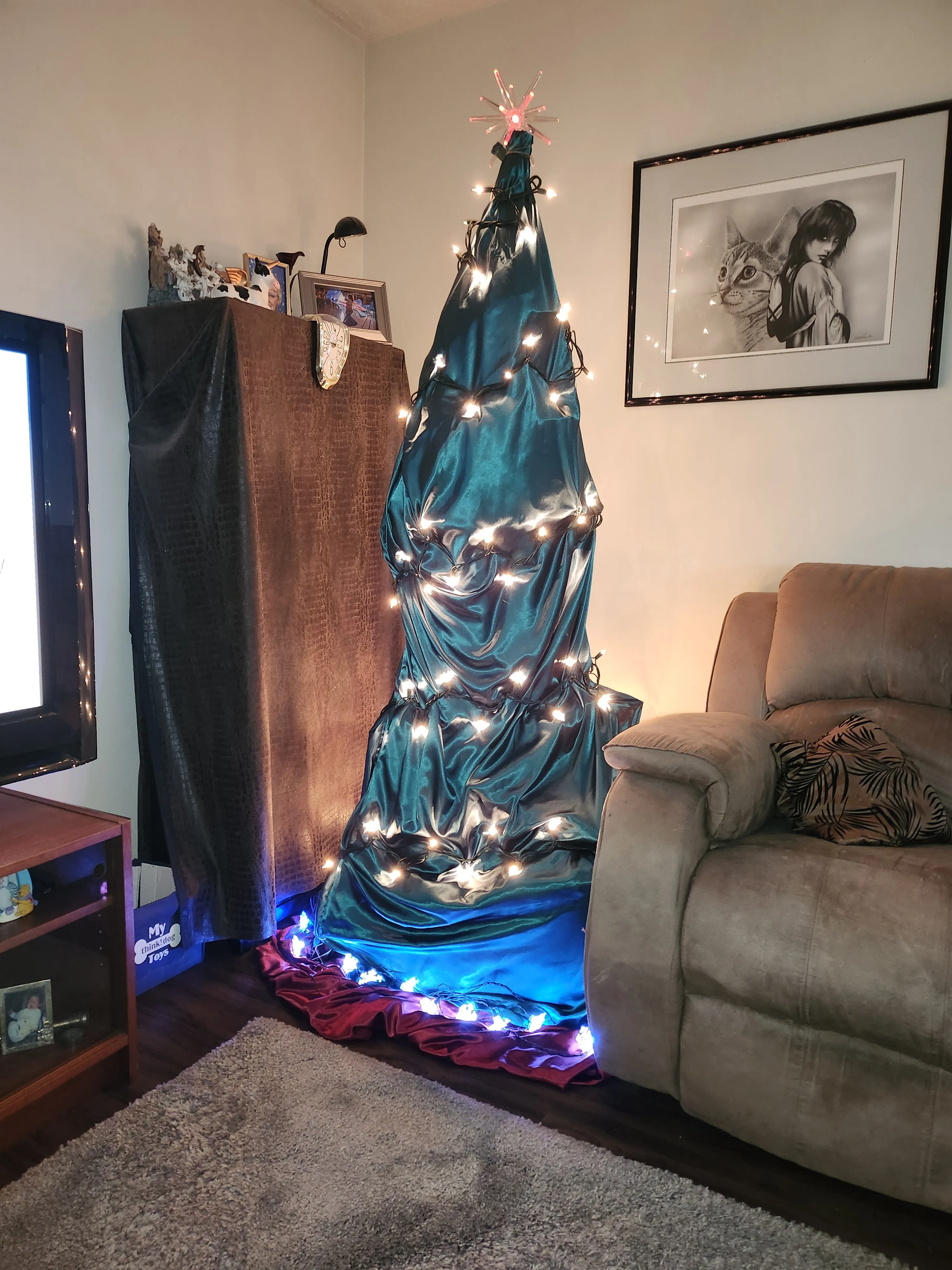 Kitten This Year. No Tree