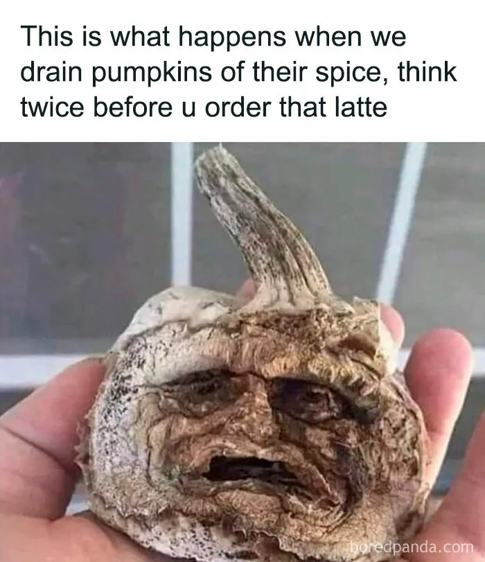 This Instagram Page Is A Treasure Trove Of Parenting Memes, Here Are The 50 Best Ones