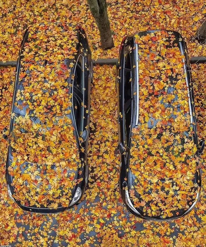 This Instagram Account Continues To Share Highly Amusing Street Photos; Here Are Their 49 Newest Ones