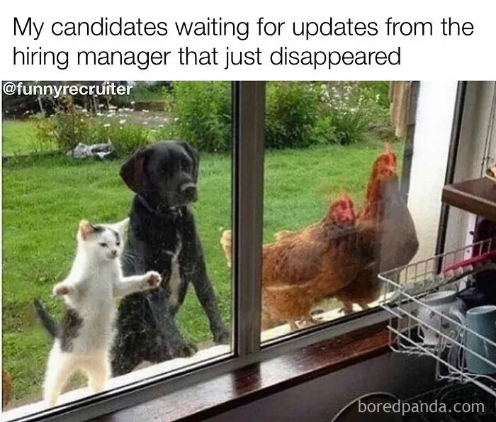 Animals waiting at a glass door, humorously representing job candidates, from Funny Recruiter meme page.