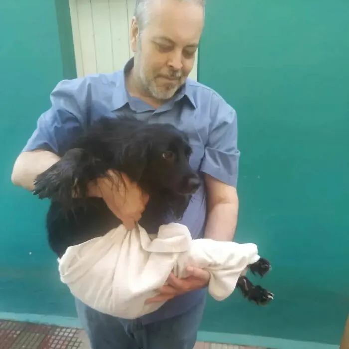 Loving Priest Turns Church Services Into Adoption Fairs For Stray Dogs (21 New Pics)