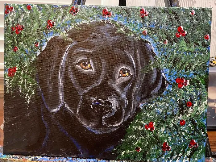 Finny At Christmas - Painting Not A Drawing