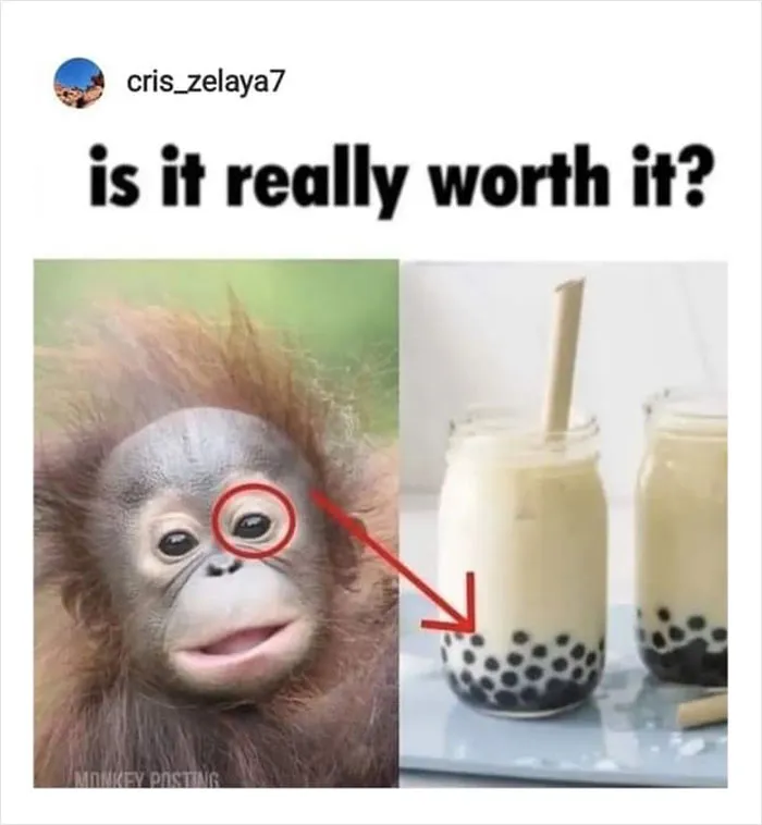 Just-Wrong-Memes