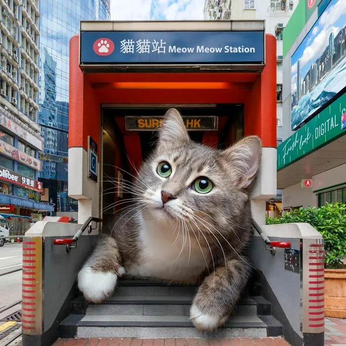 This Artist Reimagined Hong Kong With Giant Animal Residents In His Surreal Depictions (30 Pics)
