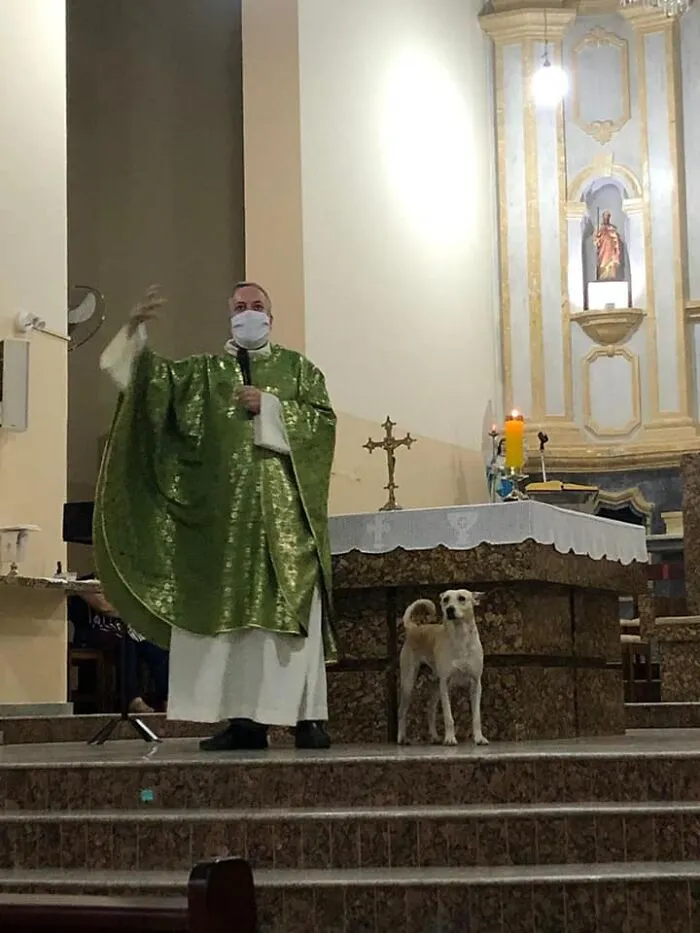 Loving Priest Turns Church Services Into Adoption Fairs For Stray Dogs (21 New Pics)
