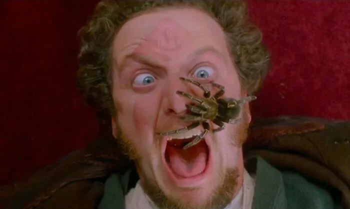 People Are Appreciating “Home Alone” With Adult Eyes By Sharing 27 Things That Make It So Funny