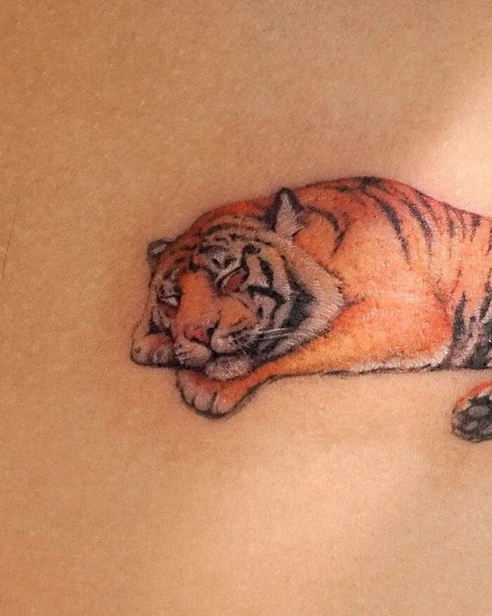 Tattoo of a resting tiger on skin, showcasing elements of nature by a Korean ink artist.