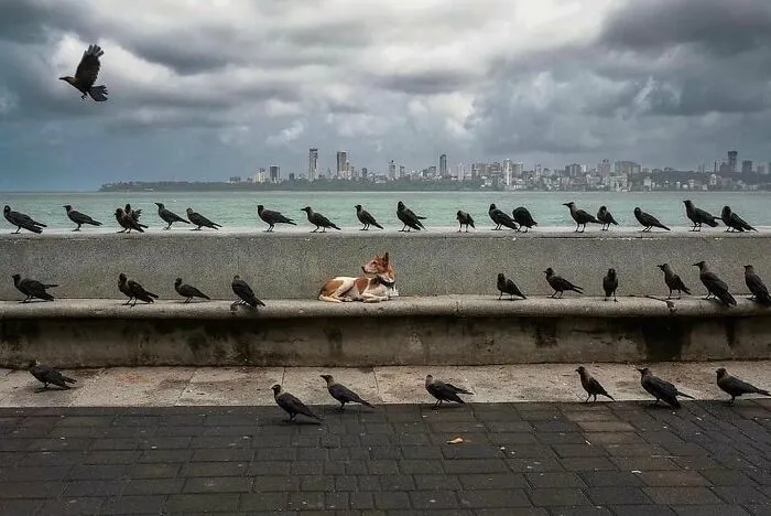 This Instagram Account Continues To Share Highly Amusing Street Photos; Here Are Their 49 Newest Ones