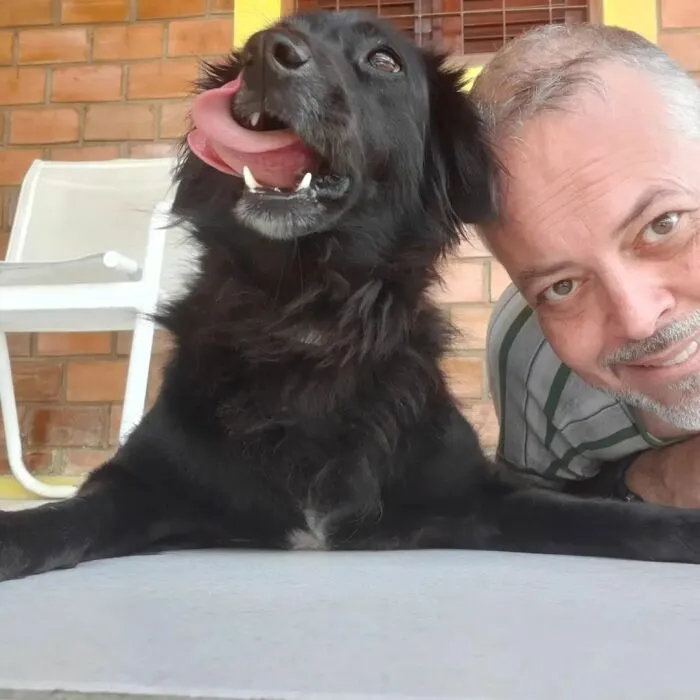 Loving Priest Turns Church Services Into Adoption Fairs For Stray Dogs (21 New Pics)