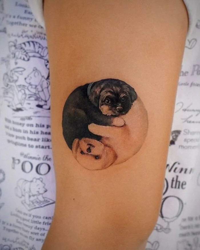 Tattoo of two dogs intertwined in a circular yin-yang design, showcasing animal elements in Korean ink art.