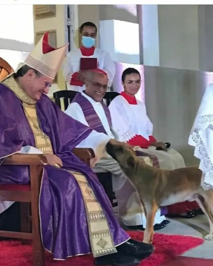 Loving Priest Turns Church Services Into Adoption Fairs For Stray Dogs (21 New Pics)