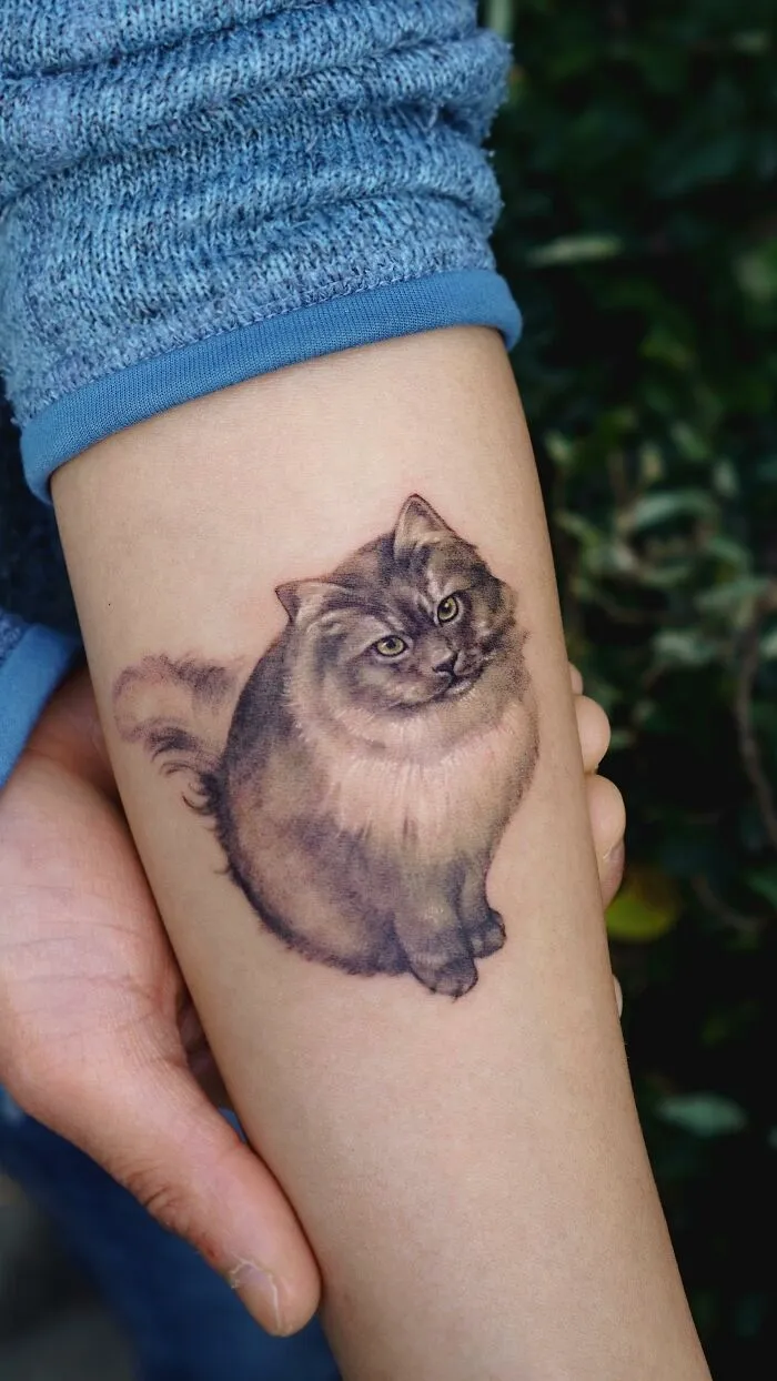 Tattoo of a realistic cat on forearm, showcasing painting-like style by Korean ink artist.