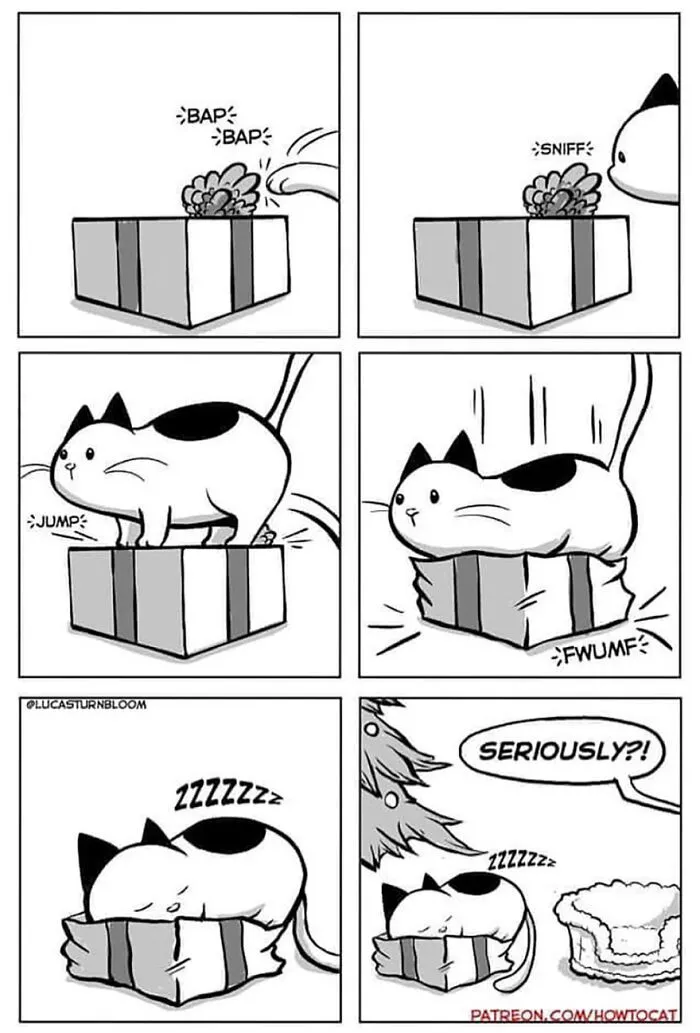 40 Relatable Comics If You've Ever Had A Cat, Created By This Artist (New Pics)