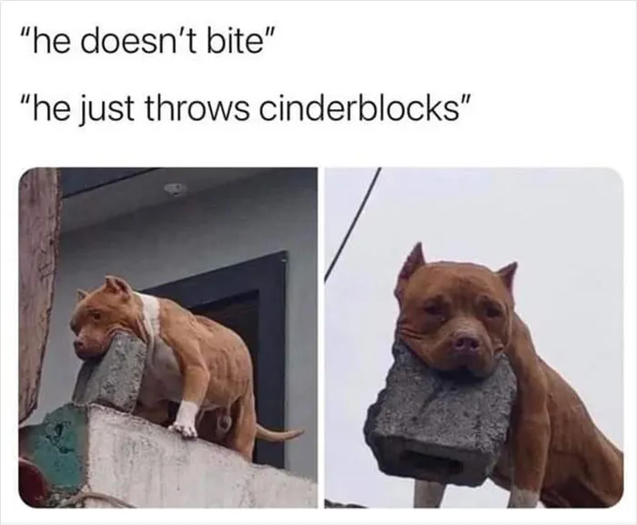 36 Memes That Feel Simply Wrong To Laugh At, But It's Difficult Not To