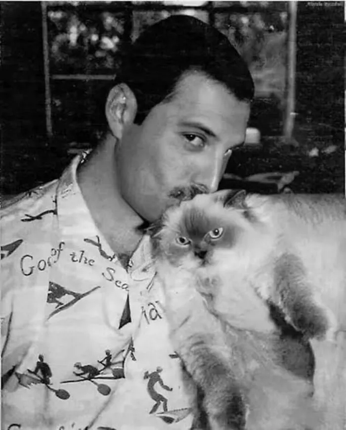 40 Vintage Photos Of Cats Posing With Famous People And Interesting Personalities (New Pics)