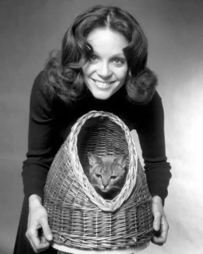 40 Vintage Photos Of Cats Posing With Famous People And Interesting Personalities (New Pics)