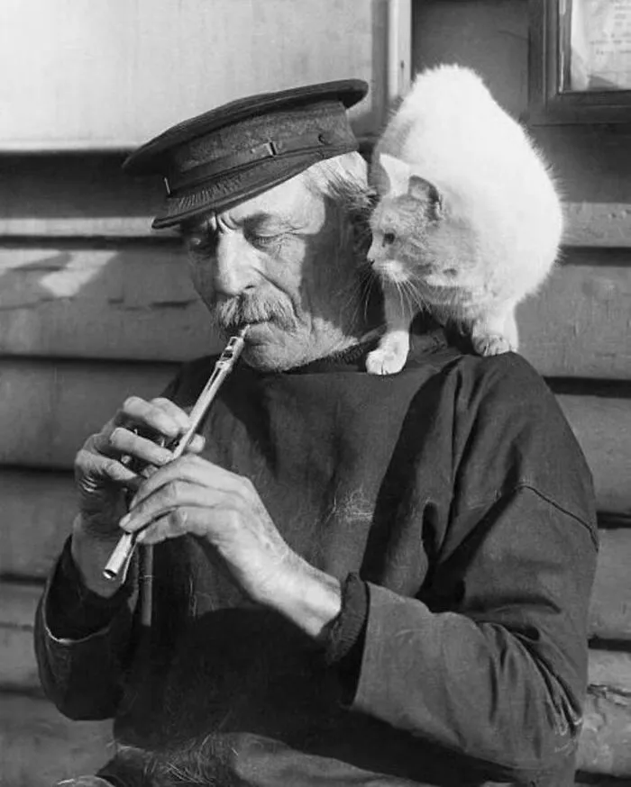 40 Vintage Photos Of Cats Posing With Famous People And Interesting Personalities (New Pics)