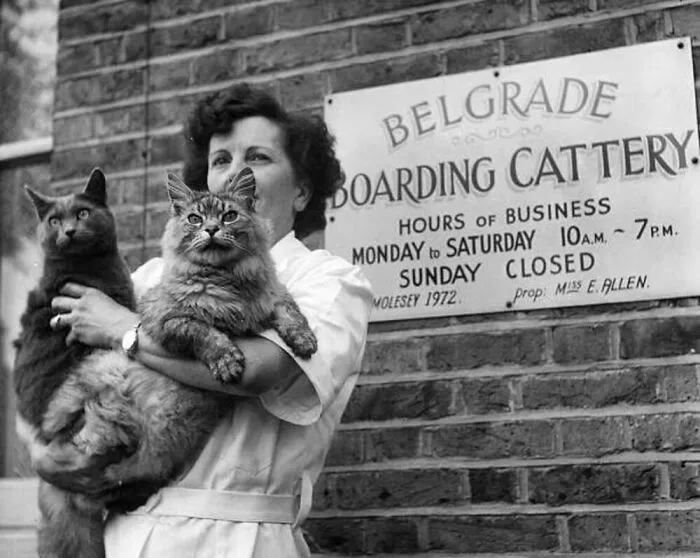 40 Vintage Photos Of Cats Posing With Famous People And Interesting Personalities (New Pics)