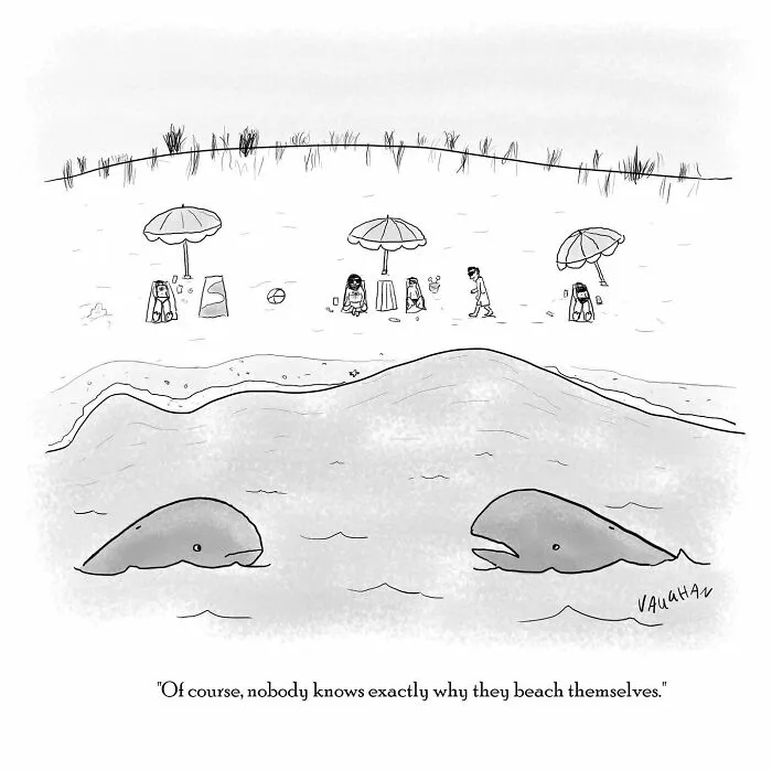 36 New Comics By Vaughan Tomlinson That Poke Fun At Our Daily Life