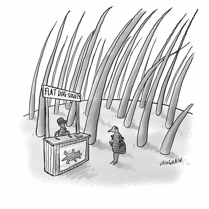 36 New Comics By Vaughan Tomlinson That Poke Fun At Our Daily Life