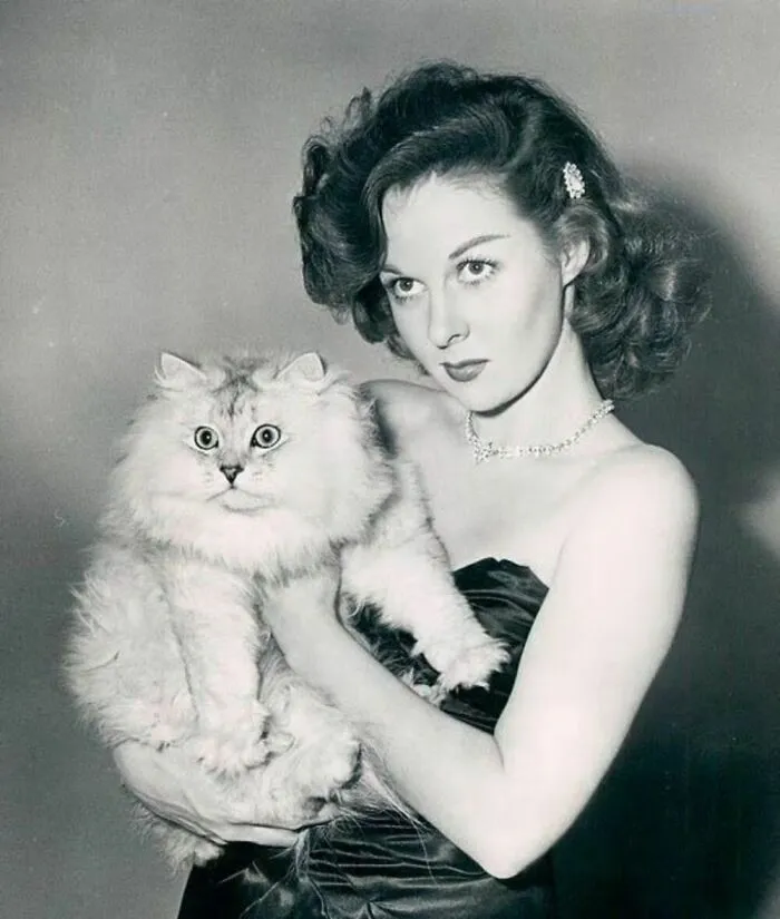 40 Vintage Photos Of Cats Posing With Famous People And Interesting Personalities (New Pics)