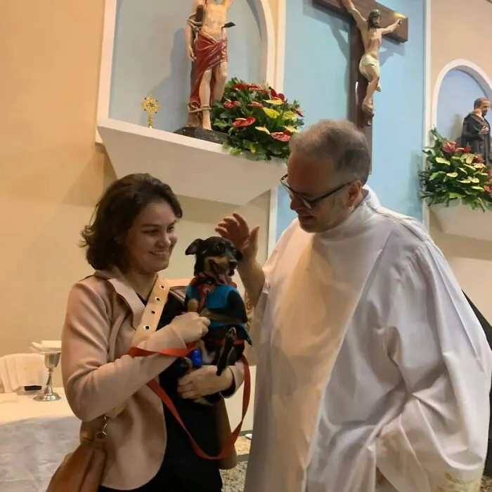 Loving Priest Turns Church Services Into Adoption Fairs For Stray Dogs (21 New Pics)