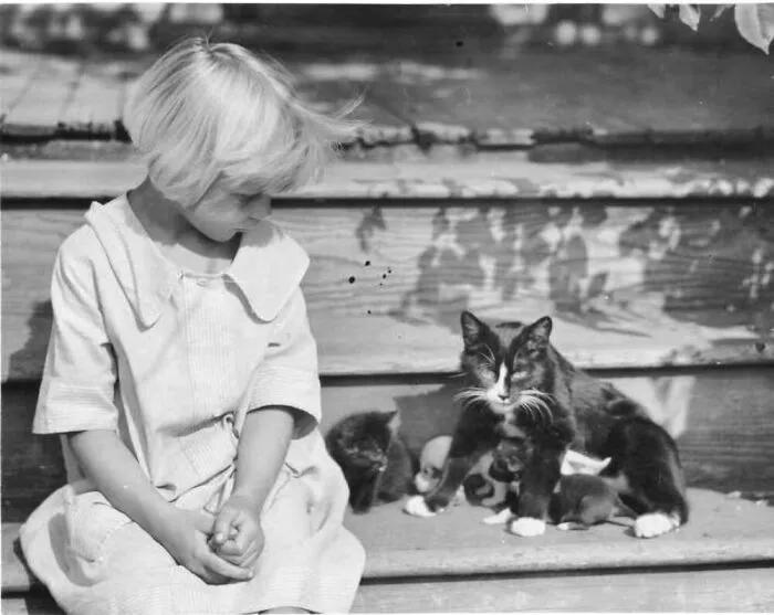 40 Vintage Photos Of Cats Posing With Famous People And Interesting Personalities (New Pics)